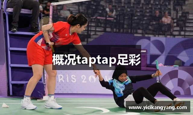 概况taptap足彩